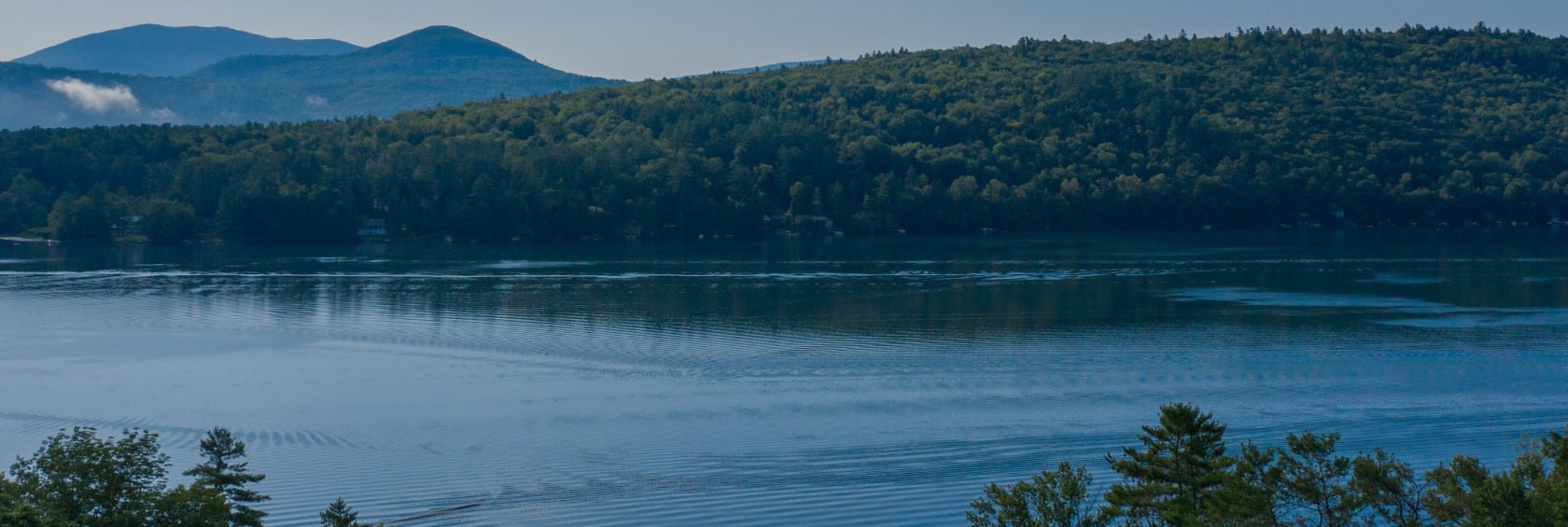 A landscape with a lake surrounded by a forest.