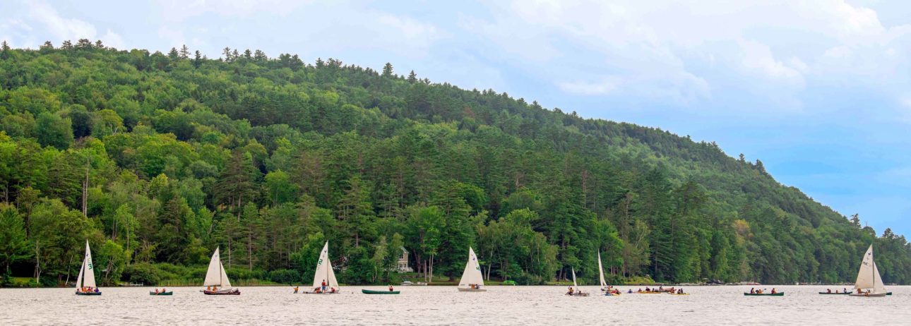 Sailboats on the lake.