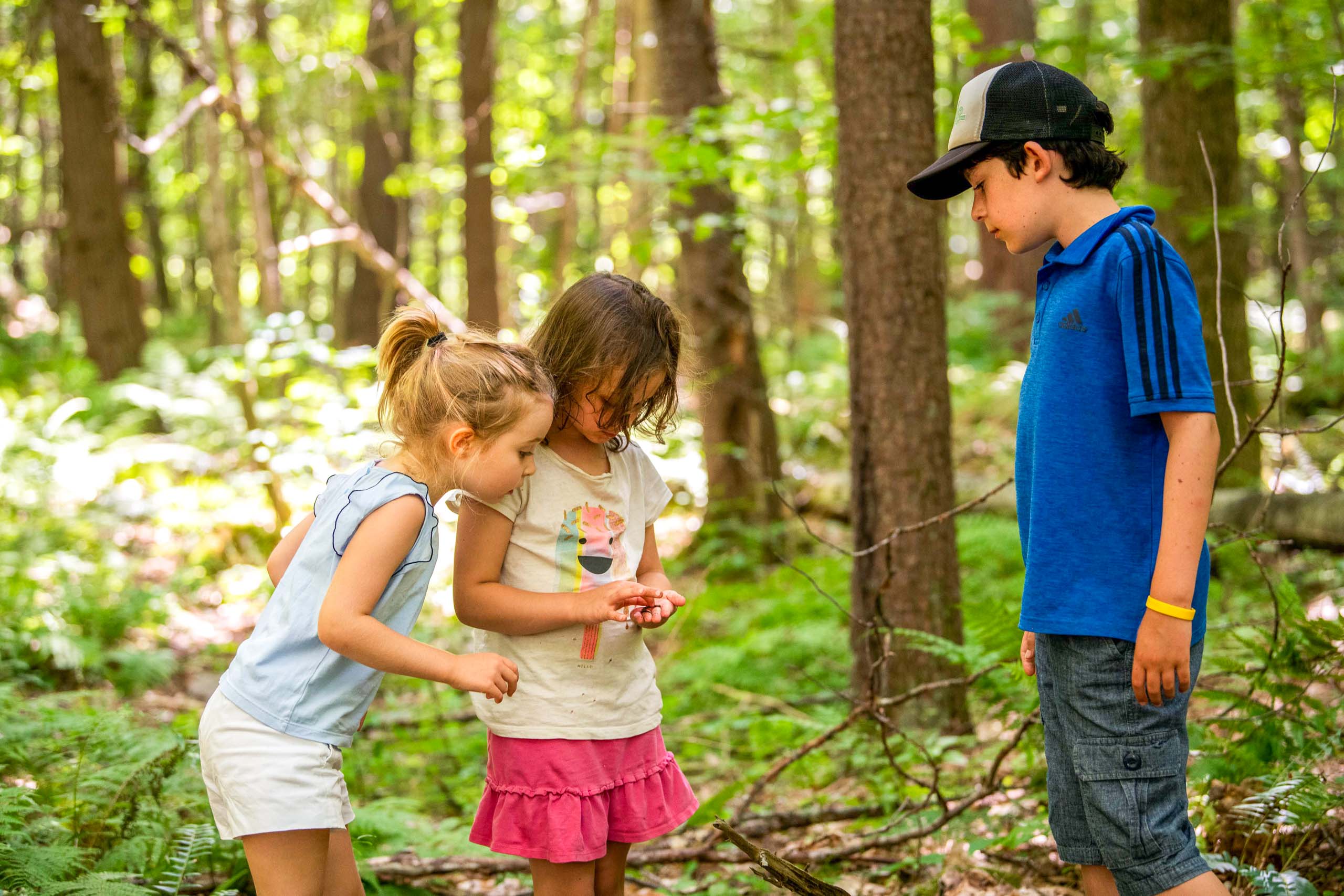 Campers in the woods.
