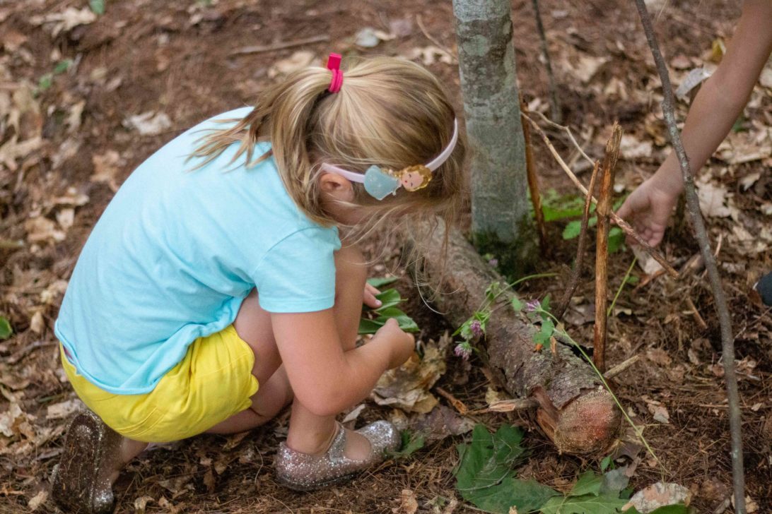 A young girl examining a leaf.