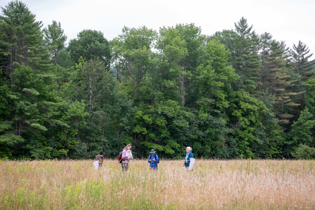 Four people walk through a grassy field with a forest backdrop. They appear to be engaging in outdoor activity or exploration, carrying backpacks and wearing casual attire.