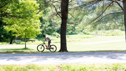 A person rides a bicycle on a sunny day, passing by a tree-lined road with green grass and trees in the background.
