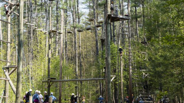 People are participating in an outdoor ropes course in a forested area, climbing ladders and navigating elevated platforms and bridges.