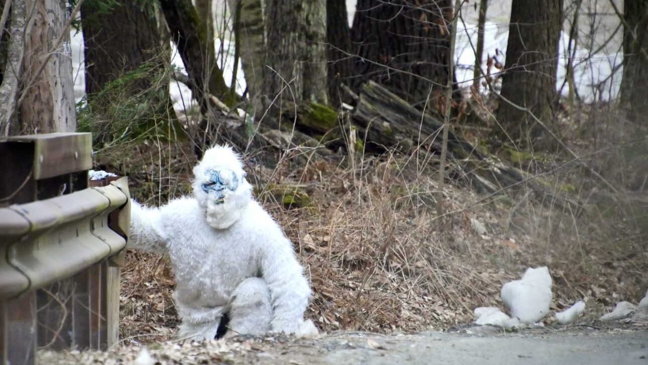 Person in a white furry costume crouches by a guardrail in a forested area.