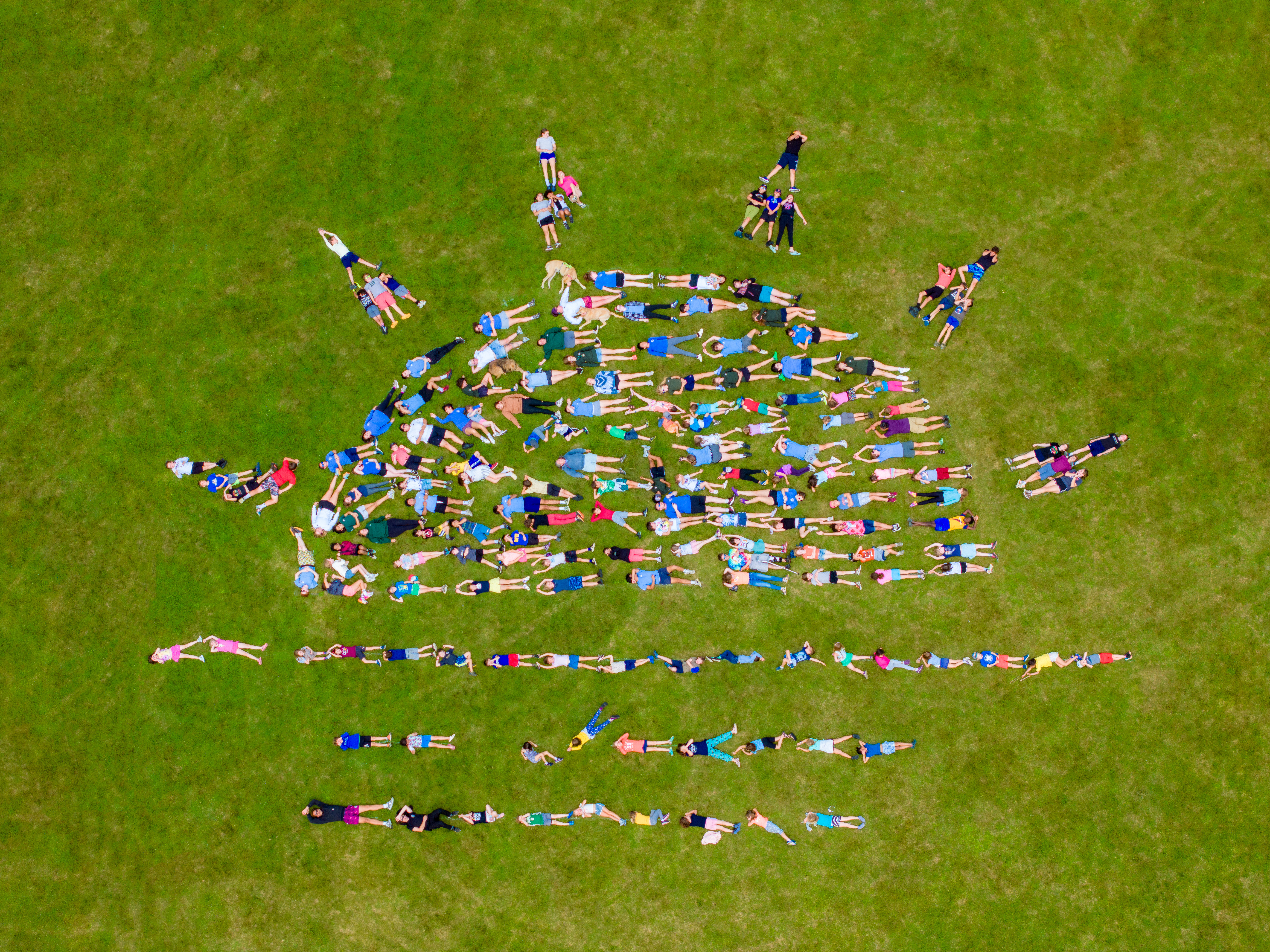 Group of people lying down on the grass and forming a sun logo.