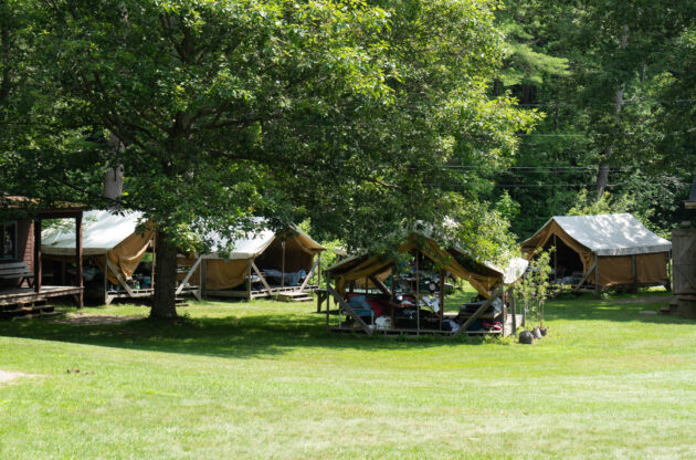 Four canvas tents are set up in a grassy area surrounded by trees, suggesting a campsite.
